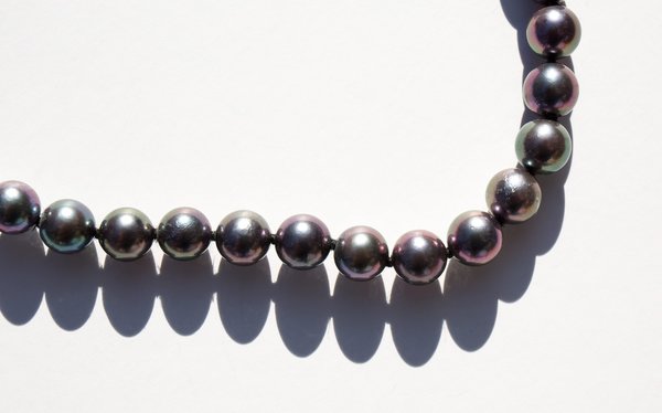 Kindred Black Jetsam's Collar Kindred Black Jetsam's Collar