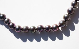 Kindred Black Jetsam's Collar Kindred Black Jetsam's Collar