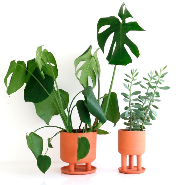 Studio Arhoj Tri Pot Small - Terracotta Studio Arhoj Tri Pot Small - Terracotta