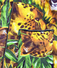 COATZ Lion Coat - Yellow - Thumbnail 3