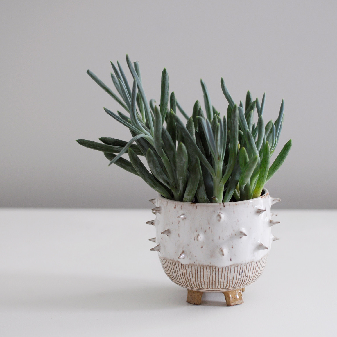 Little Bear Pots Spike Planter Garmentory
