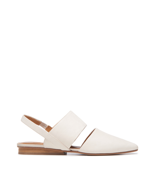 Coclico Driggs Flat Coclico Driggs Flat