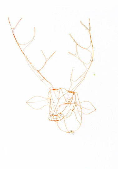 Wire Animal Heads Wire Animal Heads