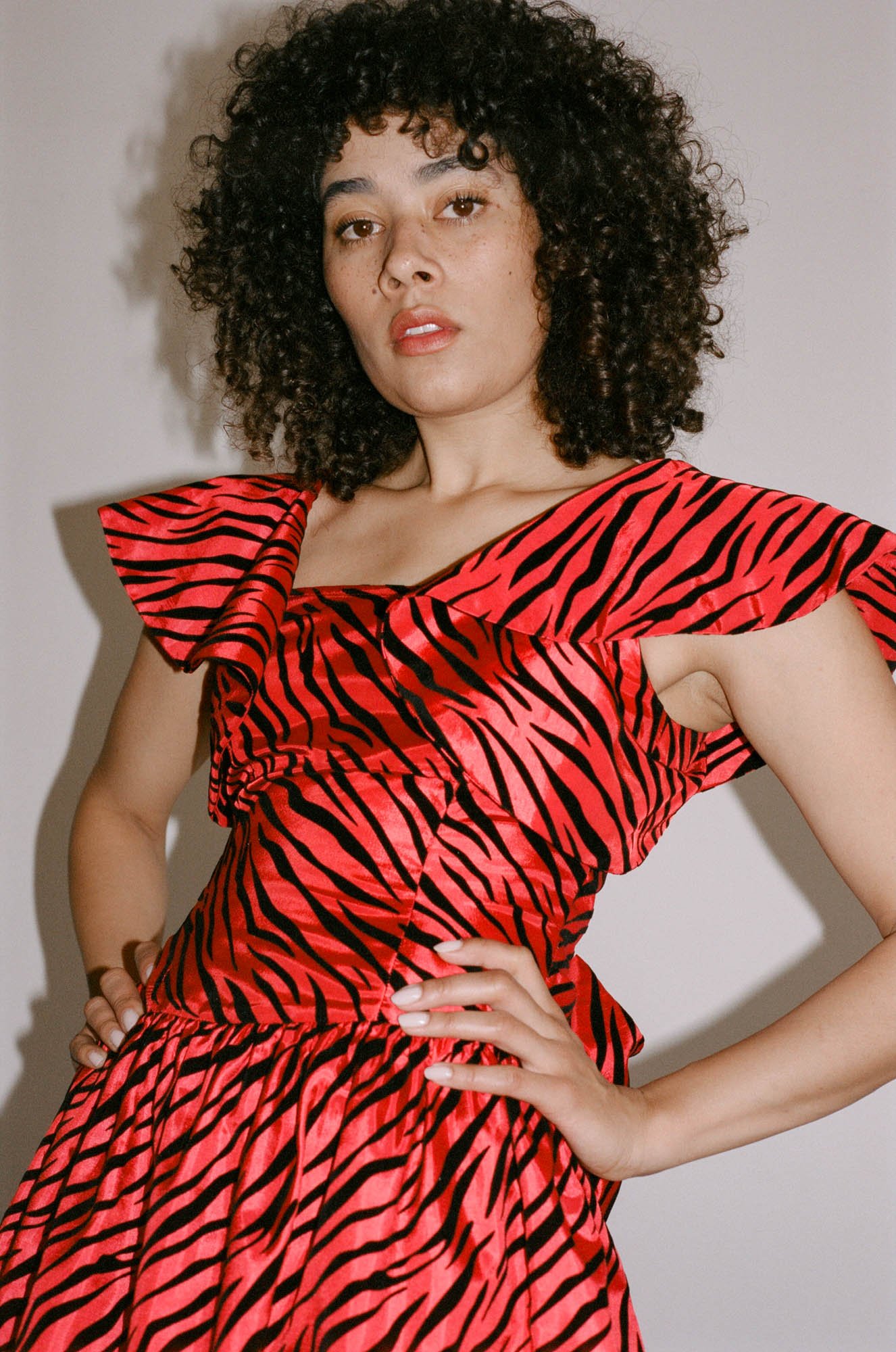 batsheva gingham dress