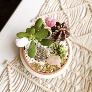 Greenwood Shop Take Home Terrarium Workshop for Two! Greenwood Shop Take Home Terrarium Workshop for Two!