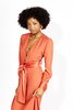 Vanessa Cocchiaro Henrietta Dress - Terracota - Thumbnail 1