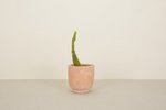 Hawkins New York Hawkins NY-Terracotta Footed Planters - TERRACOTTA - Thumbnail 3