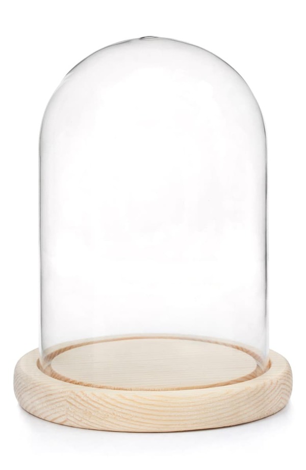 Kikkerland Bell Jar Glass with Wooden Base