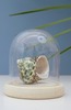 Kikkerland Bell Jar Glass with Wooden Base - Thumbnail 1