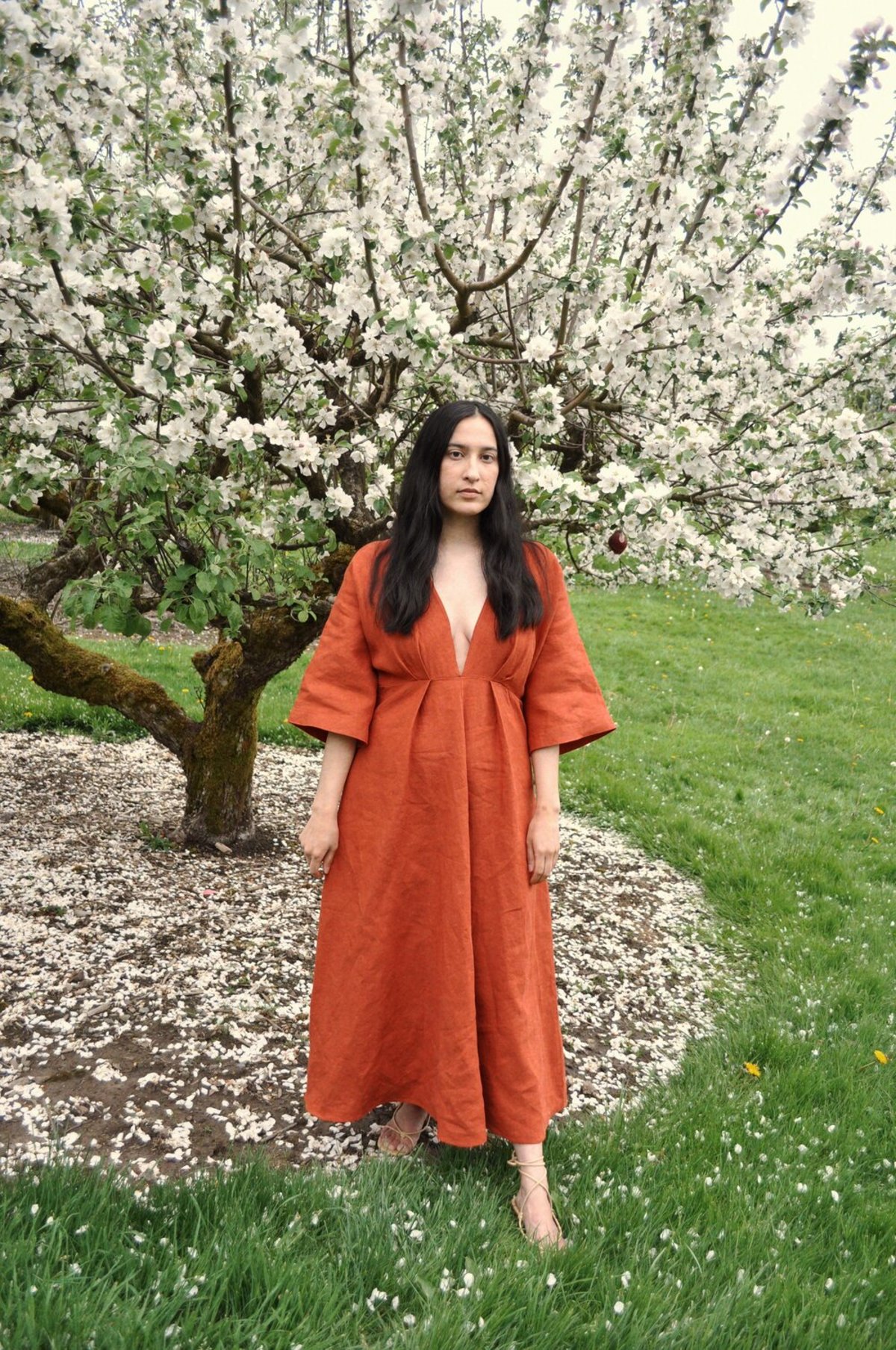 Cocobolo Florence Dress - Rust - Image 5 of 7