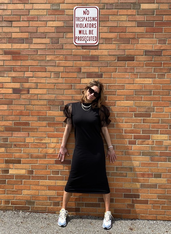 Rita Row Sheer Sleeve Dress Rita Row Sheer Sleeve Dress