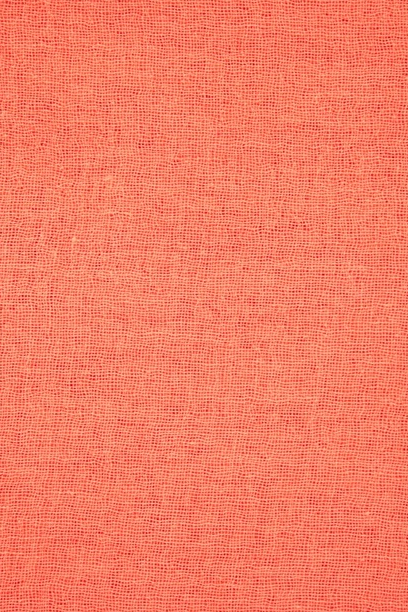Chan Luu - Living Coral Cashmere & Silk Scarf Chan Luu - Living Coral Cashmere & Silk Scarf