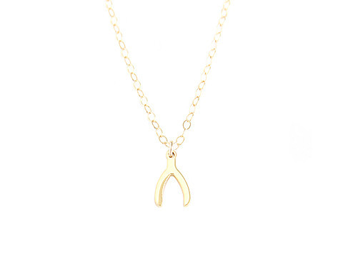 Seoul Little Wishbone Necklace Seoul Little Wishbone Necklace