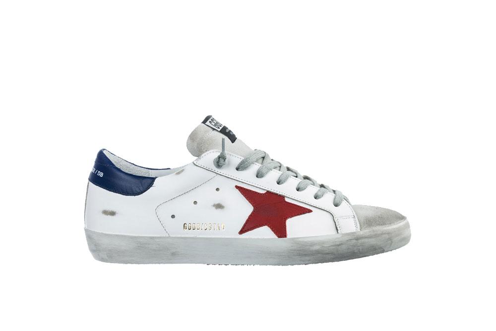 red and blue golden goose