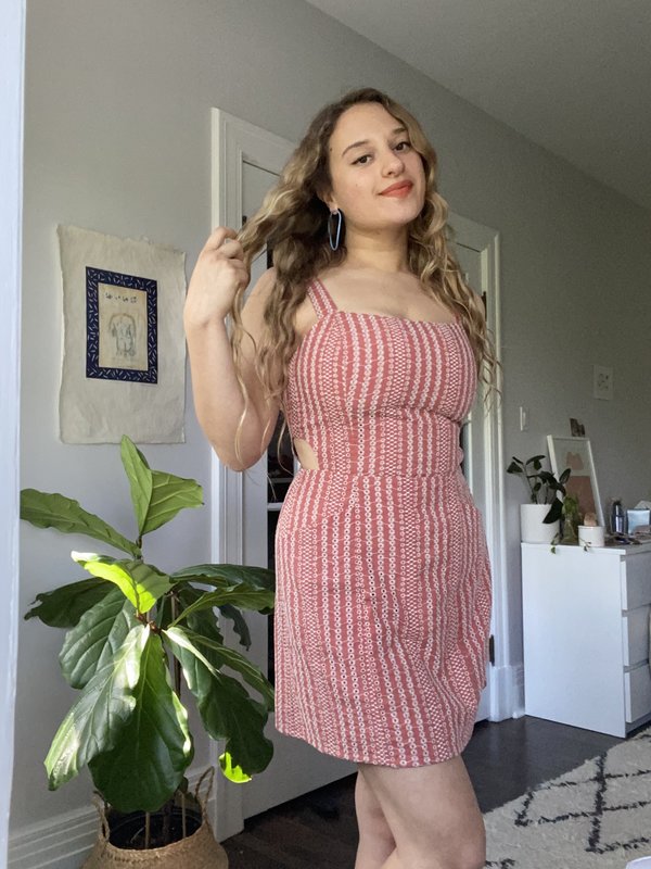 Birds of North America Bluebird Dress - Cinnamon