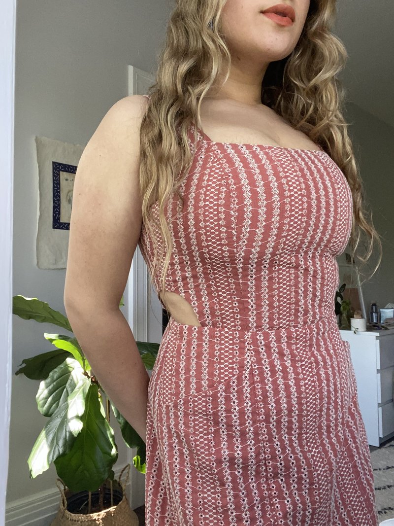 Birds of North America Bluebird Dress - Cinnamon