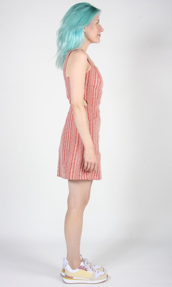 Birds of North America Bluebird Dress - Cinnamon