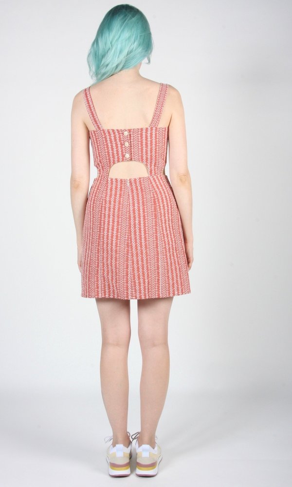 Birds of North America Bluebird Dress - Cinnamon