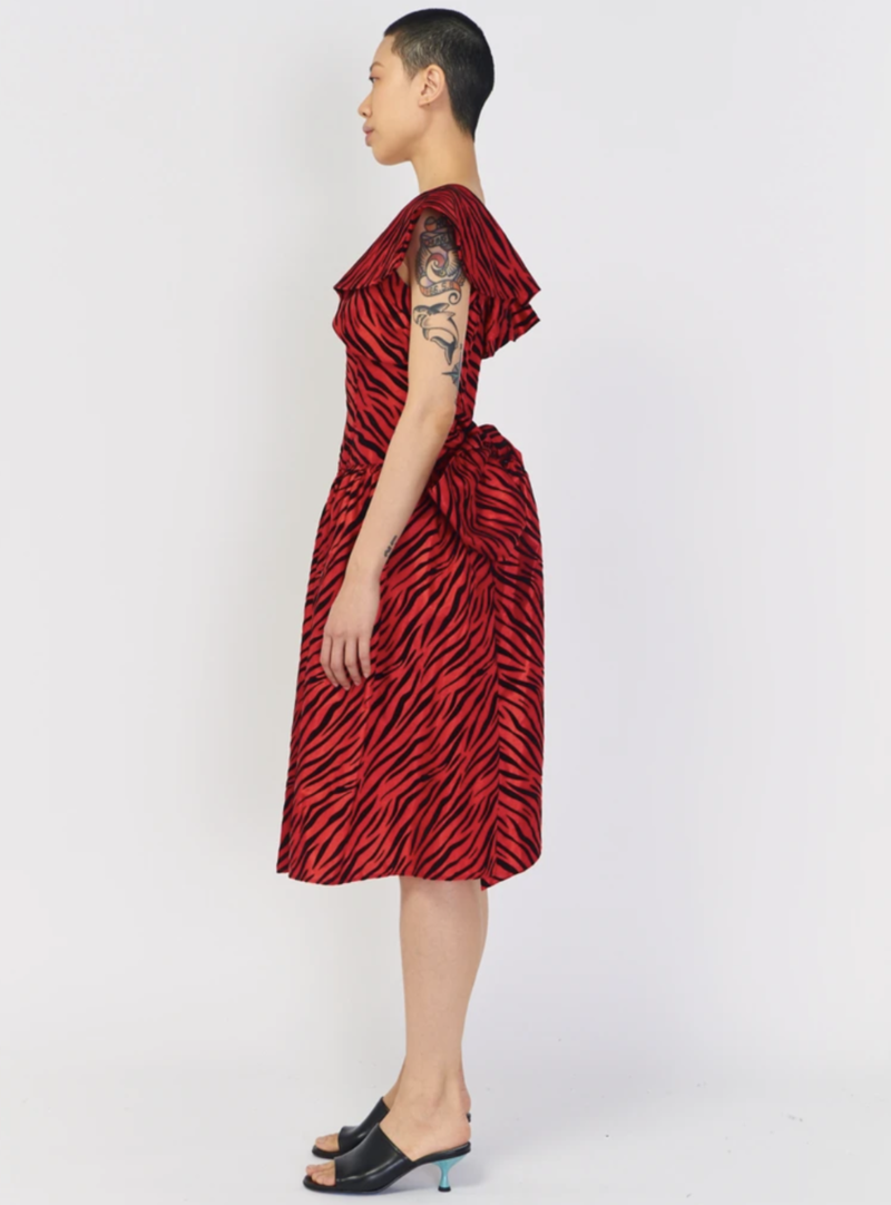 red zebra print dress