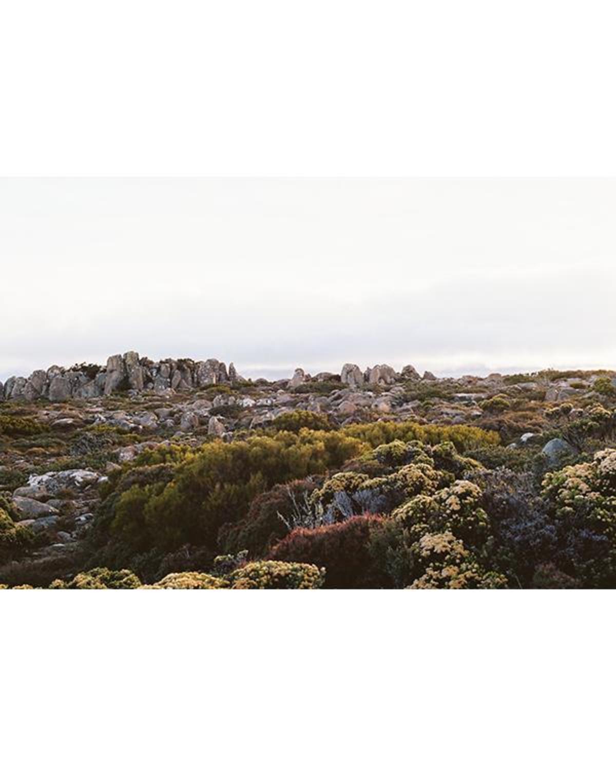 Before March A Walk On The Moon Tasmania Print - Image 1 of 1