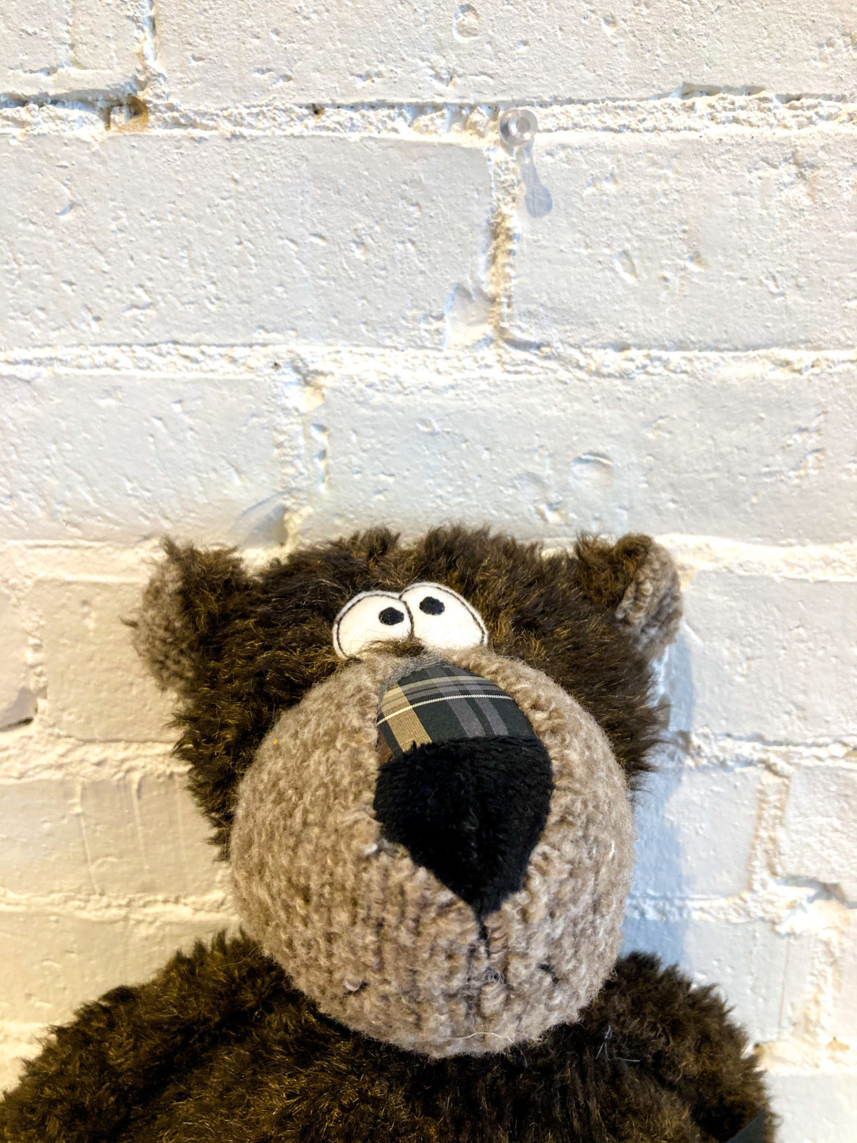 Kids sigikid Beasts Town Bonsai Bear | Garmentory