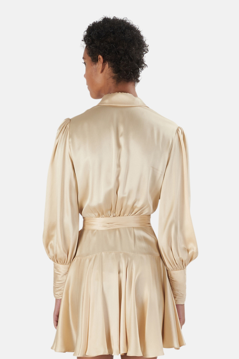 knee length dresses for ladies Capucine Silk-Satin Mini Dress in Cream Champagne main image 0