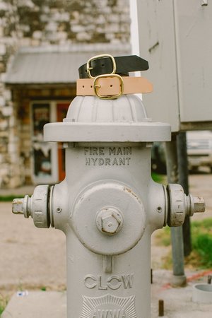 Noah Marion Indiana Belt Noah Marion Indiana Belt