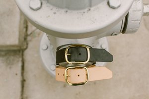 Noah Marion Indiana Belt Noah Marion Indiana Belt
