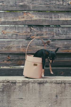 Noah Marion Willie BUCKET BAG Noah Marion Willie BUCKET BAG