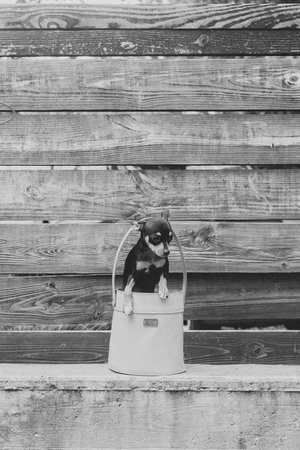 Noah Marion Willie BUCKET BAG Noah Marion Willie BUCKET BAG