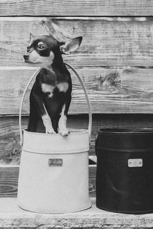 Noah Marion Willie BUCKET BAG Noah Marion Willie BUCKET BAG