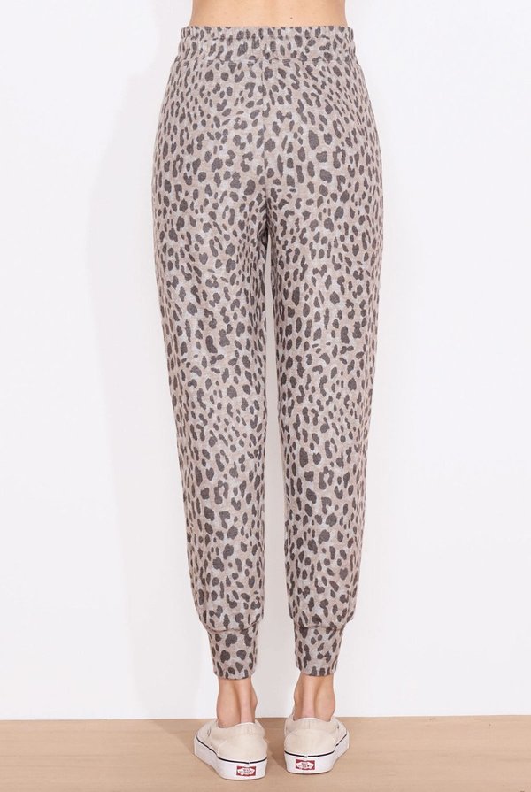 Sundry Jogger - Leopard Print Sundry Jogger - Leopard Print