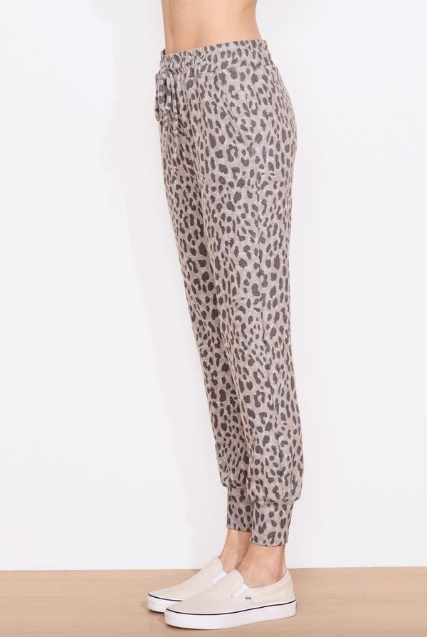 Sundry Jogger - Leopard Print Sundry Jogger - Leopard Print