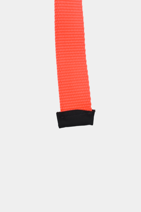 The Celect Clip Belt - Orange The Celect Clip Belt - Orange
