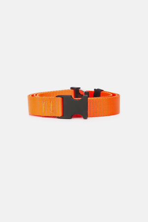 The Celect Clip Belt - Orange The Celect Clip Belt - Orange