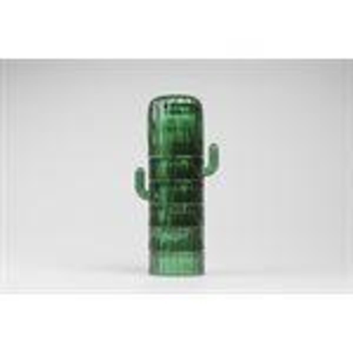 doiy Saguaro Glasses | Garmentory