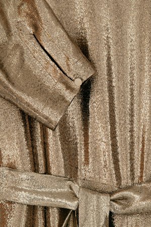 INDRESS Shiny Dress - Gold | Garmentory