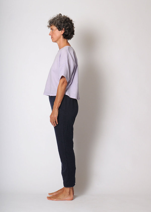 Conifer Crop Pullover Top - lavender