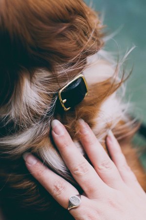 Noah Marion Slim Dog Collar Noah Marion Slim Dog Collar