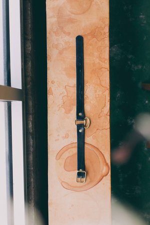 Noah Marion Dog Collar Noah Marion Dog Collar