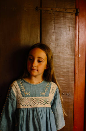 Apolina Tara Dress in Blue Stone | Garmentory