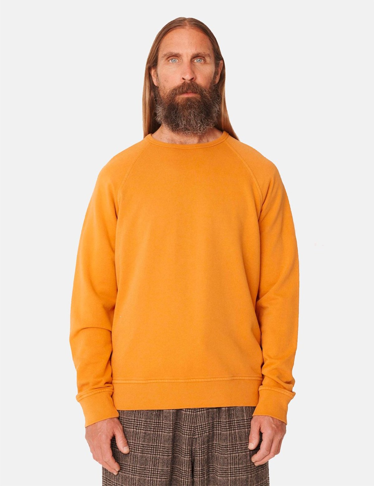 YMC Schrank Raglan Sweat - Dark Yellow | Garmentory