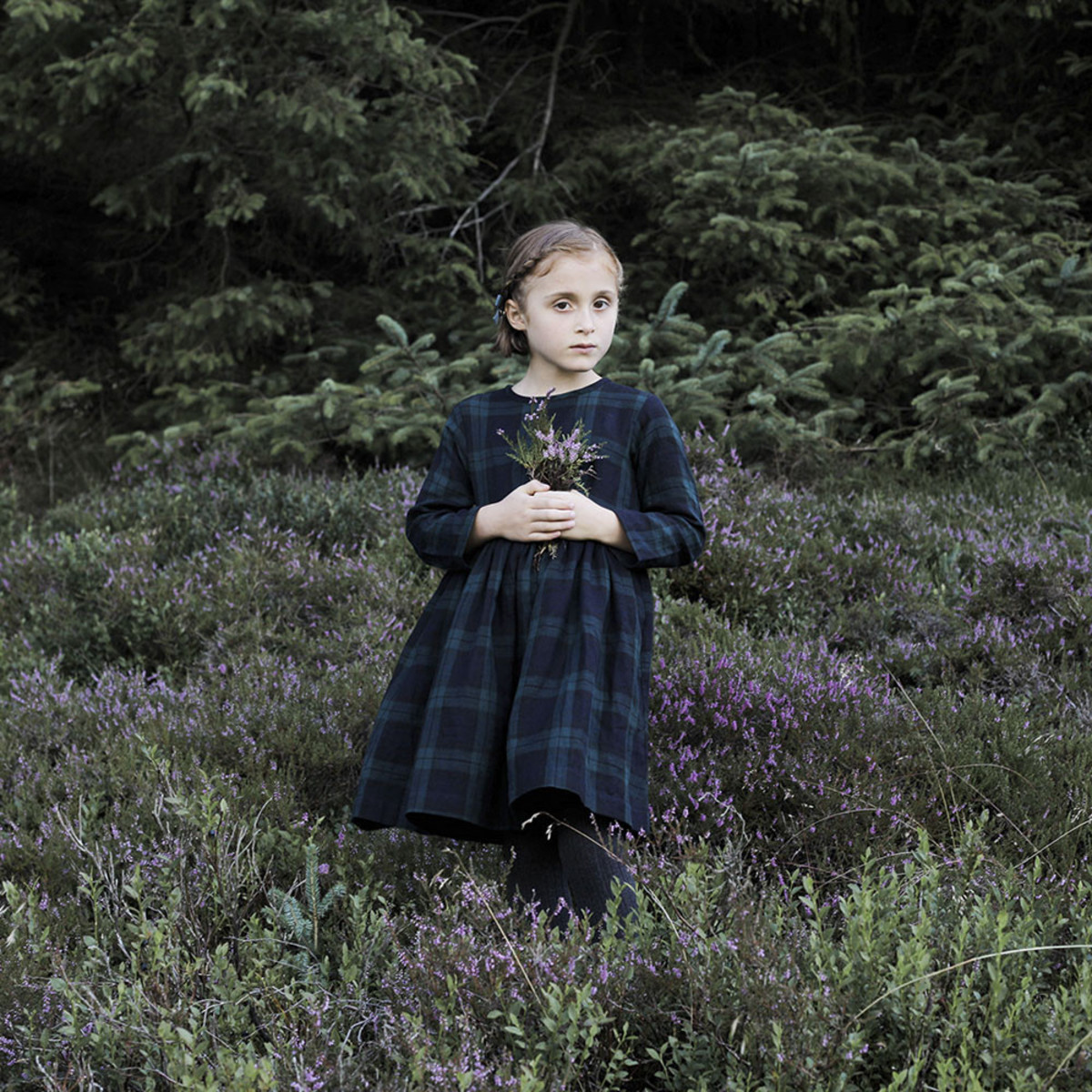 soor ploom ♡ Clementine Dress 3y Clementine Dress in Gingham by Soor Ploom - Last One In