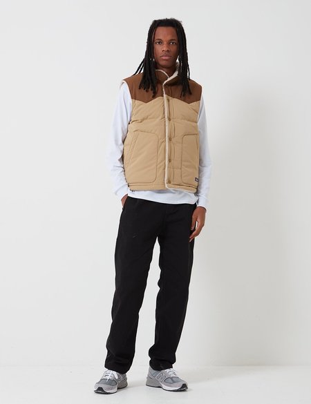 Patagonia Reversible Bivy Down Vest 
