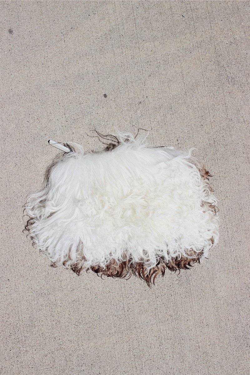 Primecut Pouch - Cream Longhair No.2