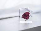 Usagi No Nedoko Sola Cube - Rose - Thumbnail 2