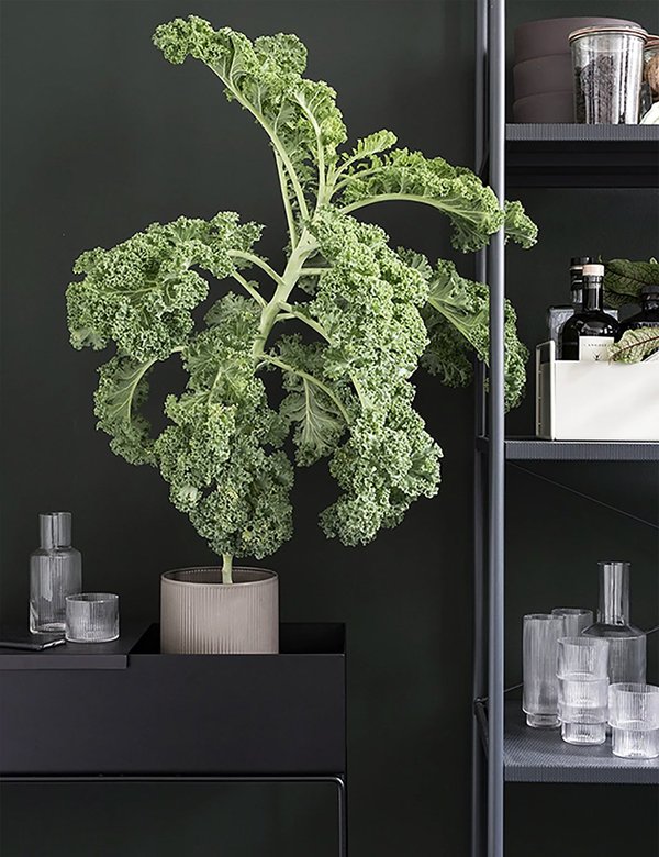Ferm Living Large Plant Box - Black Ferm Living Large Plant Box - Black