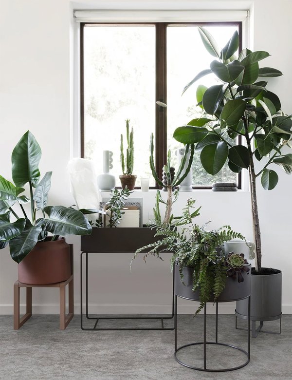 Ferm Living Large Plant Box - Black Ferm Living Large Plant Box - Black