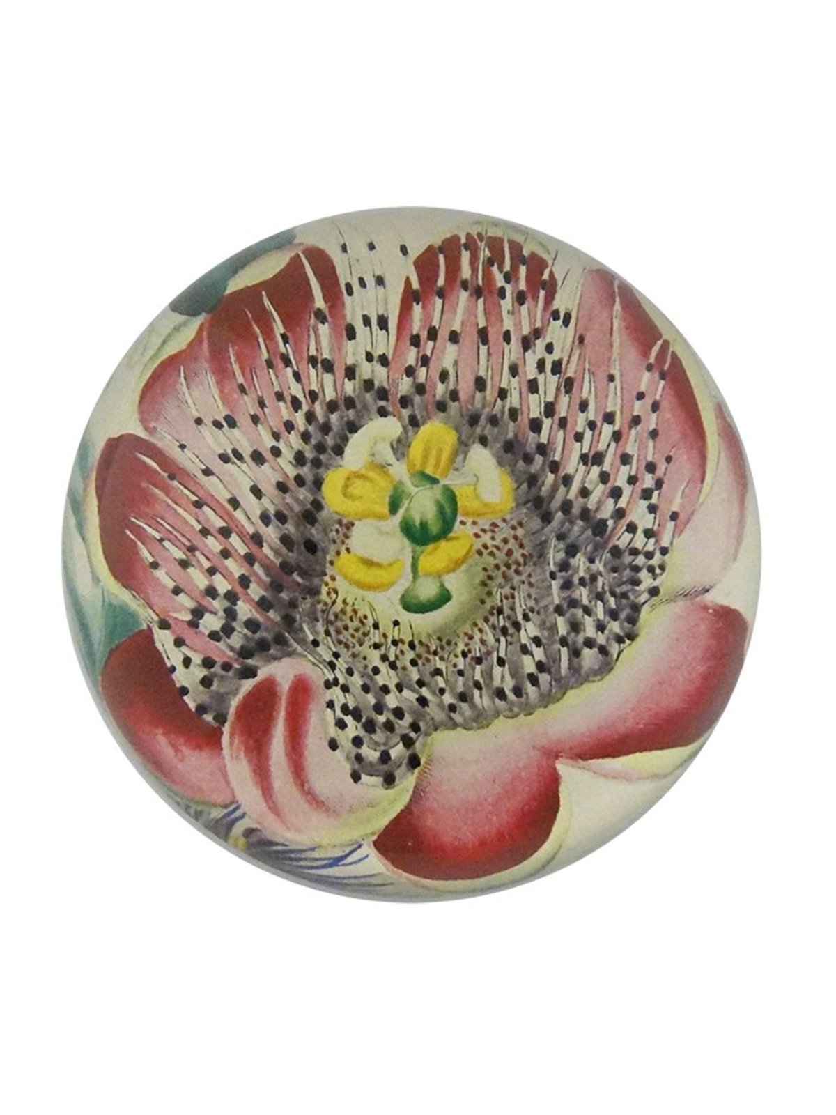 John Derian Passion Flower Paperweight Garmentory