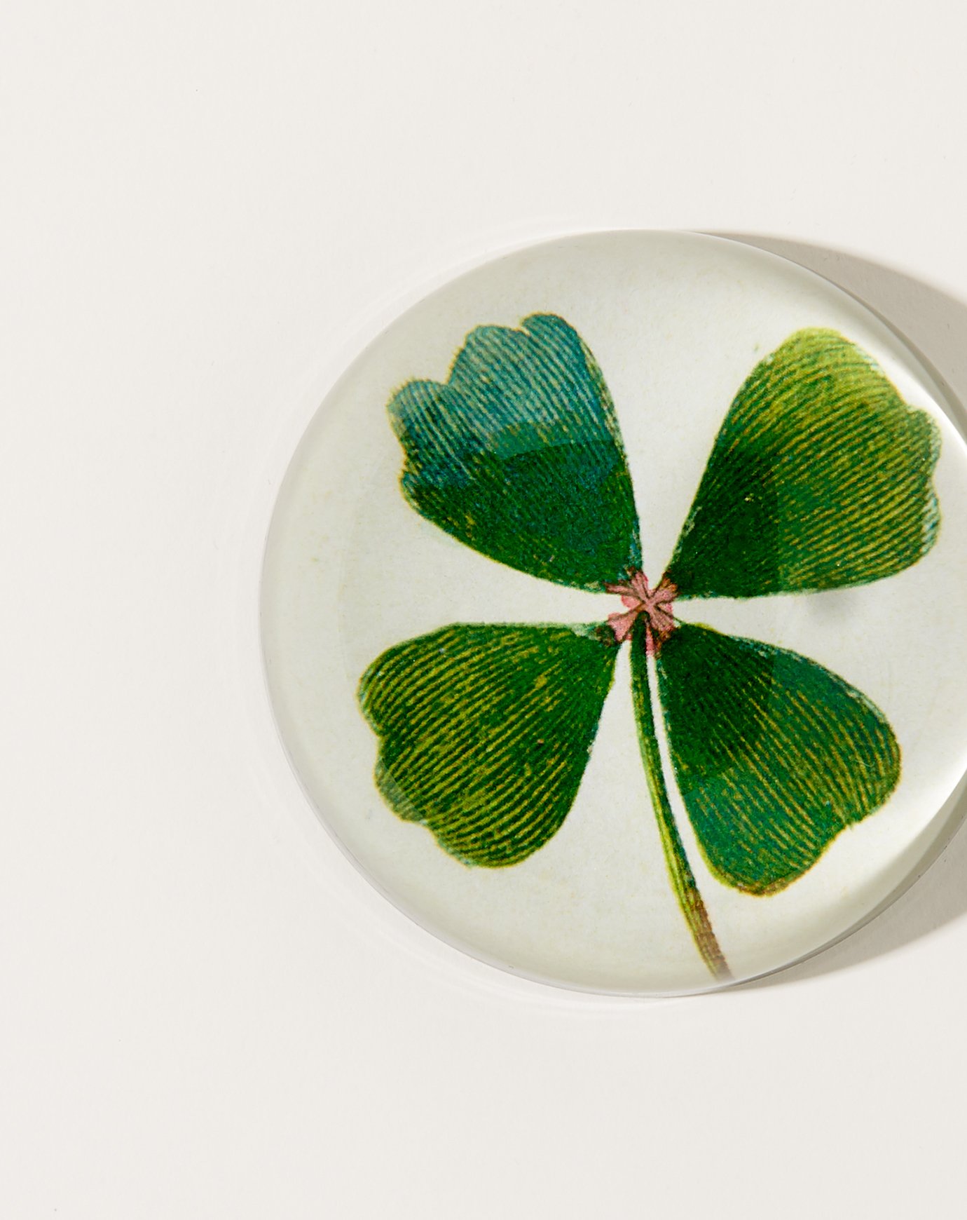 John Derian Clover Dome Paperweight Garmentory